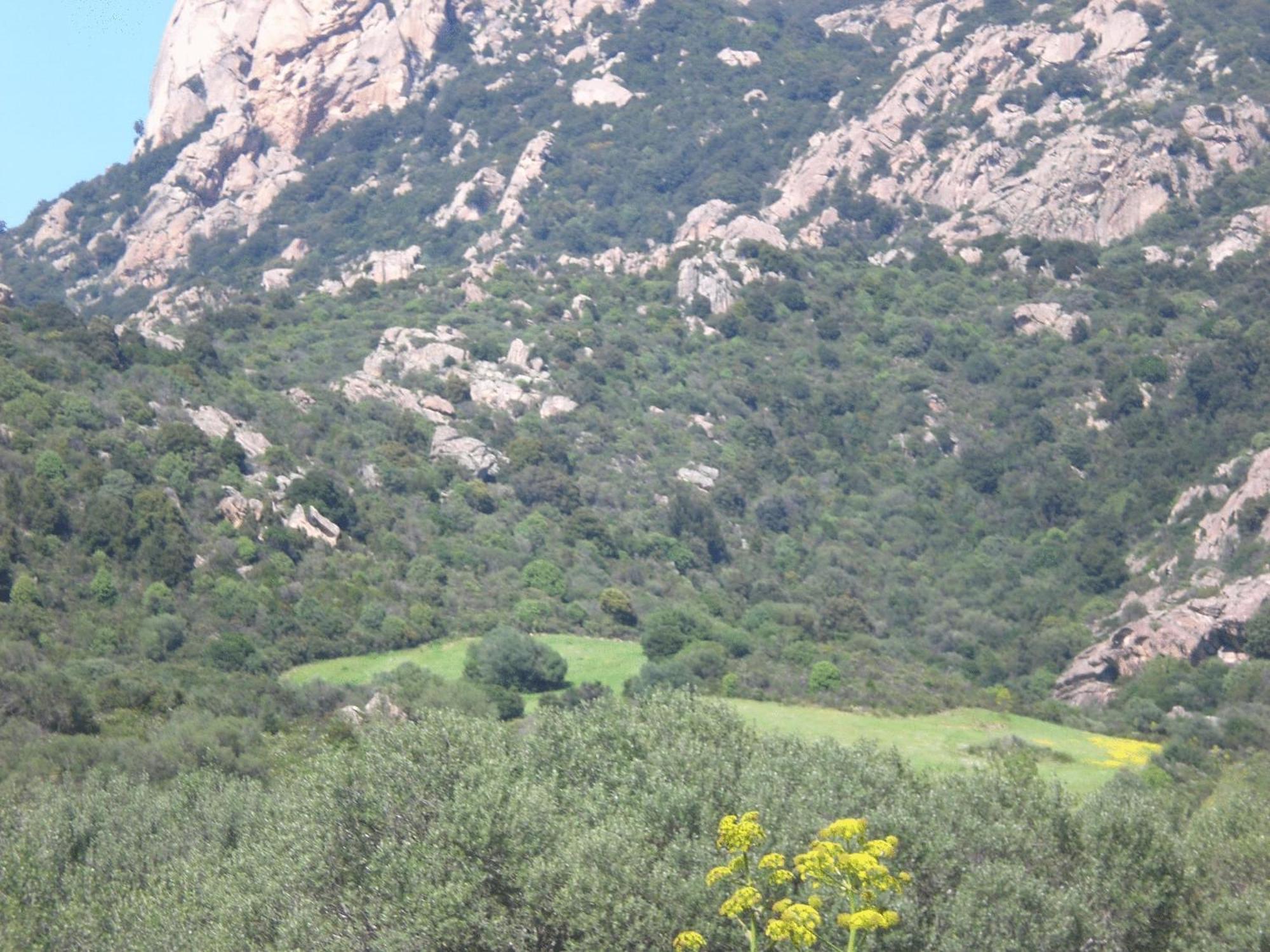 Hotel Turismo Rurale Montitundu Portisco Bagian luar foto